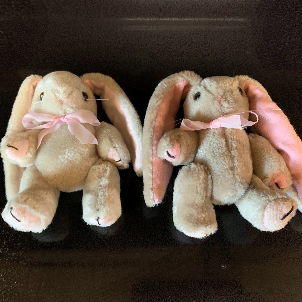 2 Small long ear bunnies